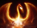 dragon-de-fuego_1.jpg