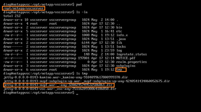 NetAppVSC-02.PNG