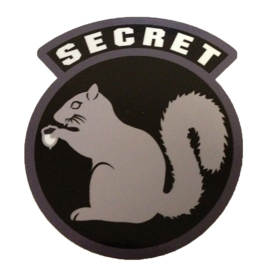 secret-squirrel-decal.jpg