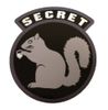 secret-squirrel-decal.jpg