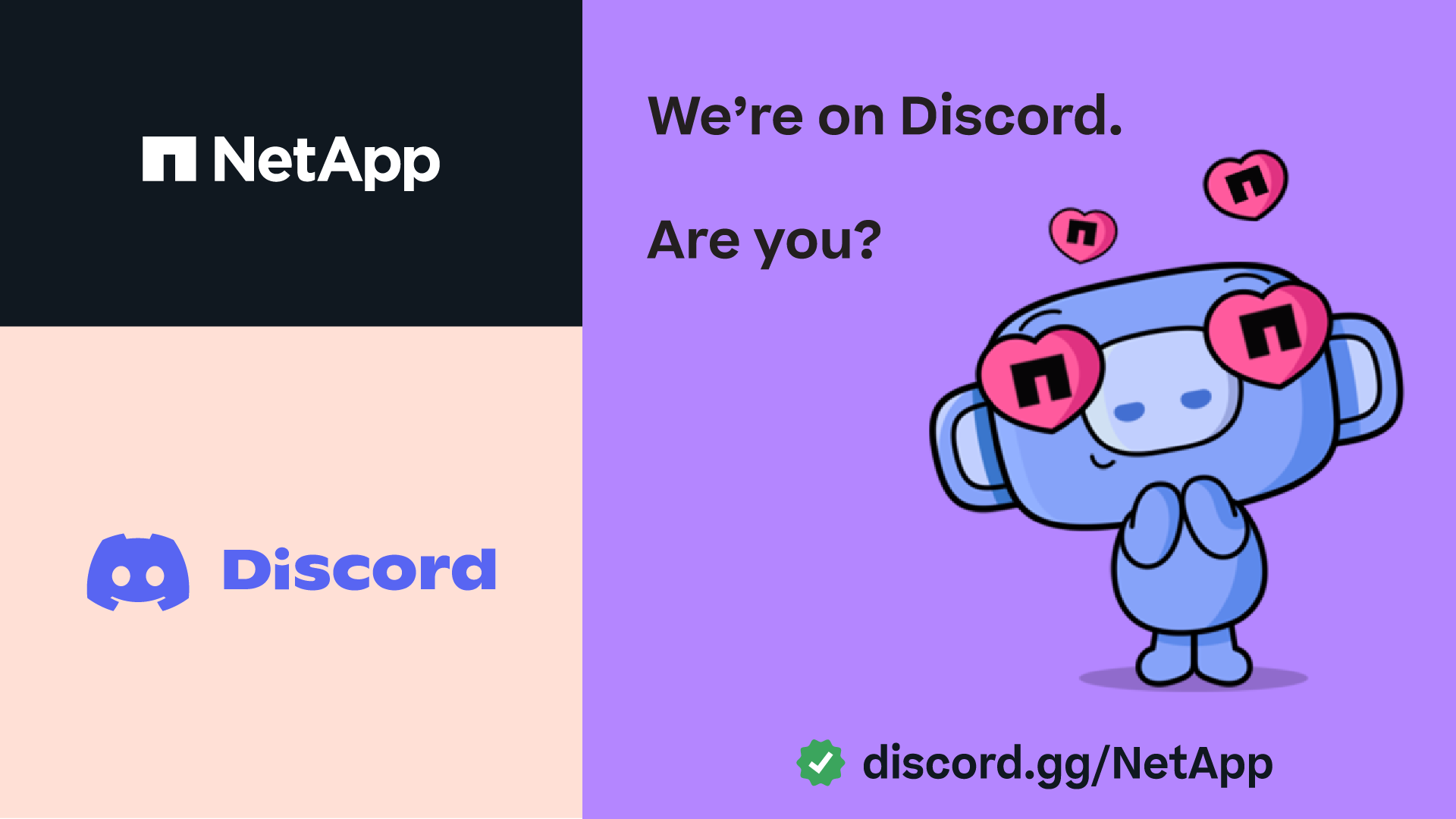NetApp on Discord Image